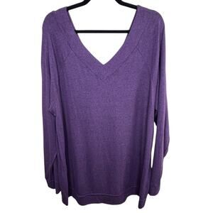W. by Wantable Brushed Hacci Raglan V-Neck Tunic Sweater Eggplant Size 2X